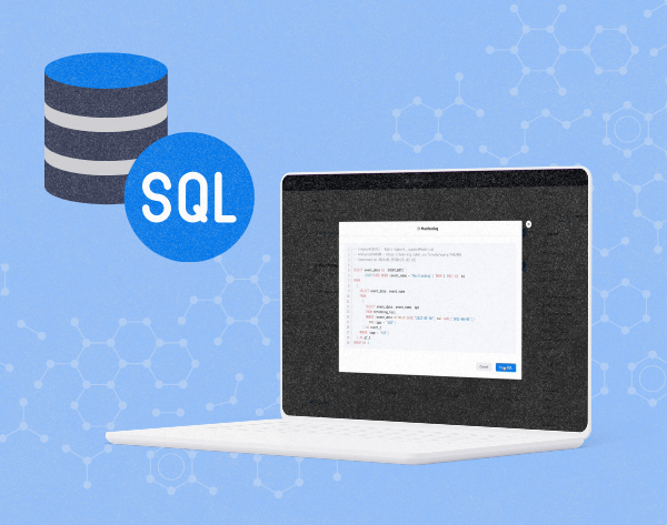 SQL Visibility After Reports Are Built